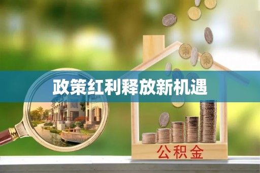 隆德政策红利释放新机遇